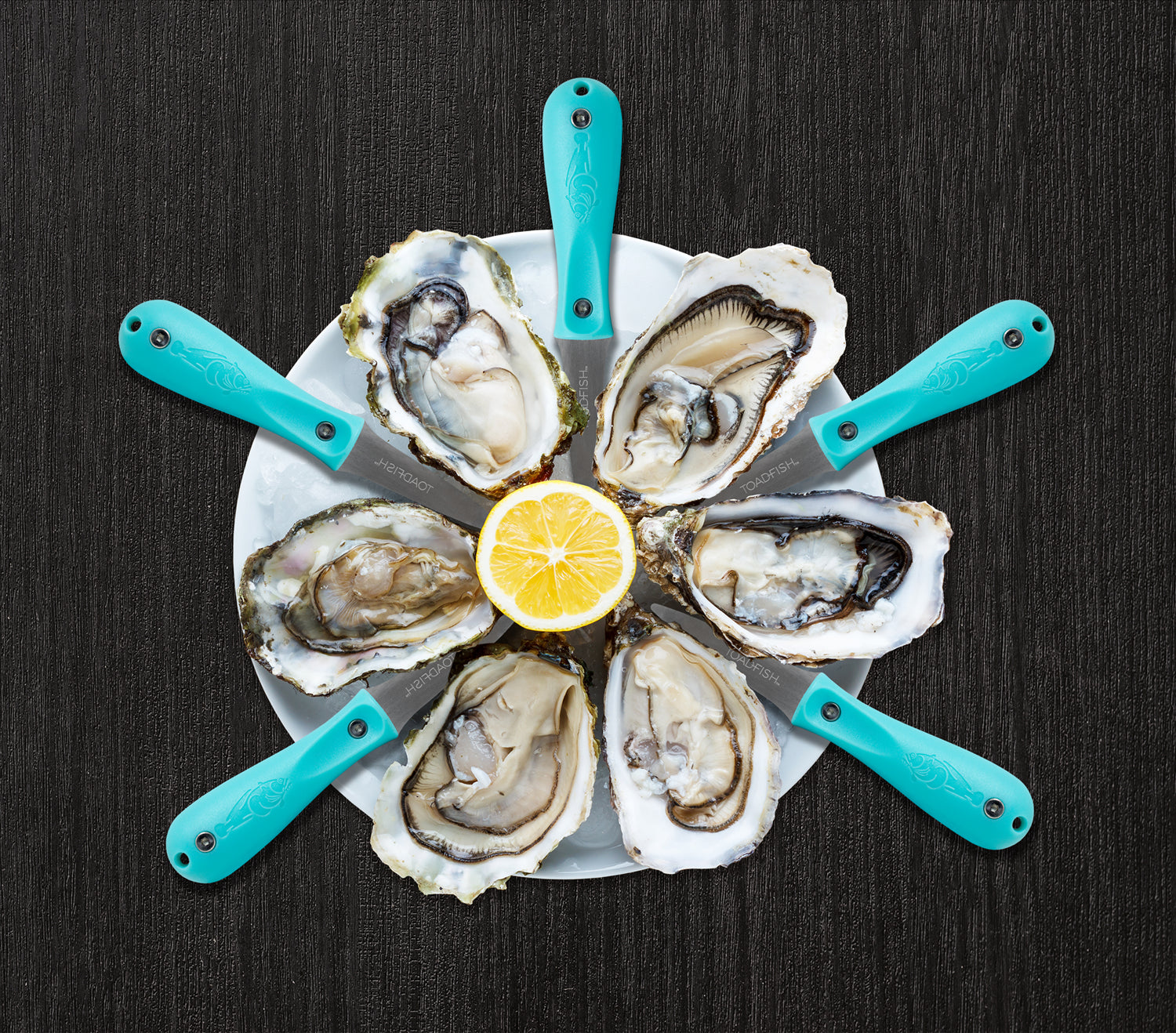 TOADFISH Toadfish Put Em Back Oyster Shucking Knife - Japanese Stainless Steel